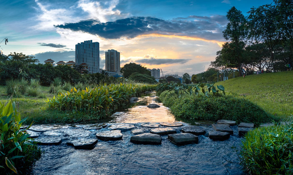 Landscape Architect Design 4